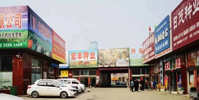 警惕误区：选择批发商的正确方式